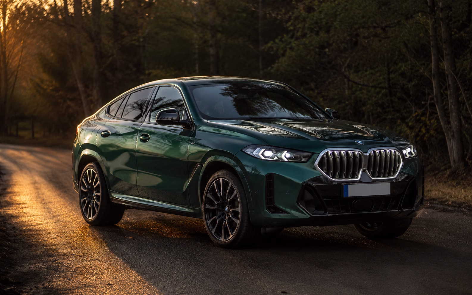 BMW X6 30d xDrive G06 — fotografie 1